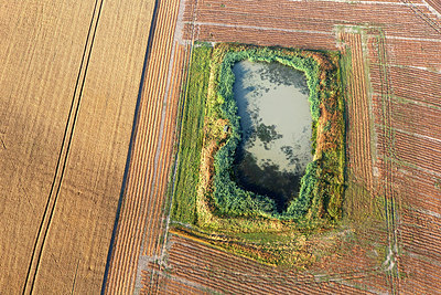 BUITEN BEELD Foto: 245246