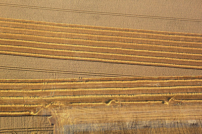 BUITEN BEELD Foto: 245299