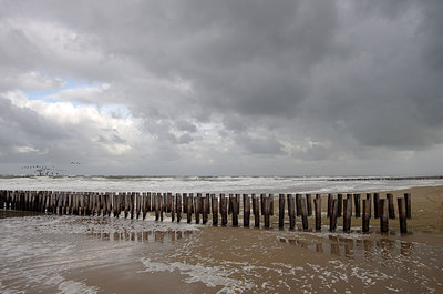 BUITEN BEELD Foto: 245339