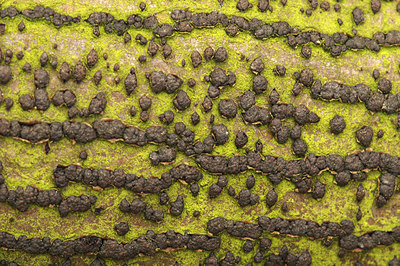 BUITEN BEELD Foto: 245340