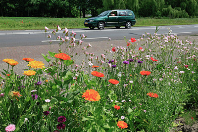 BUITEN BEELD Foto: 245390