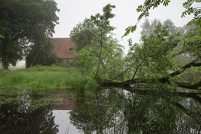 BUITEN BEELD Foto: 245435