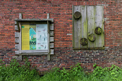 BUITEN BEELD Foto: 245437