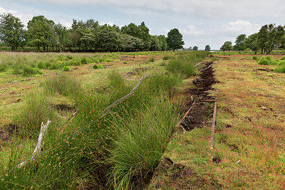 BUITEN BEELD Foto: 245441