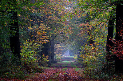 BUITEN BEELD Foto: 245534