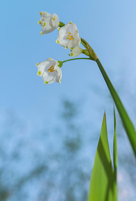 BUITEN BEELD Foto: 245564