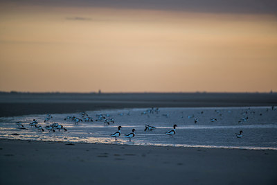 BUITEN BEELD Foto: 245783