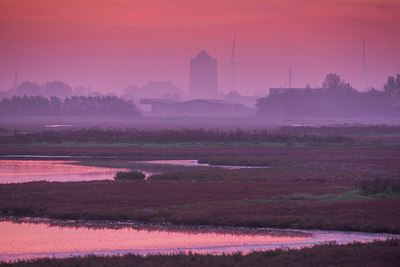 BUITEN BEELD Foto: 245802