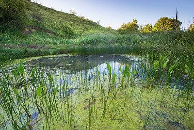 BUITEN BEELD Foto: 245811