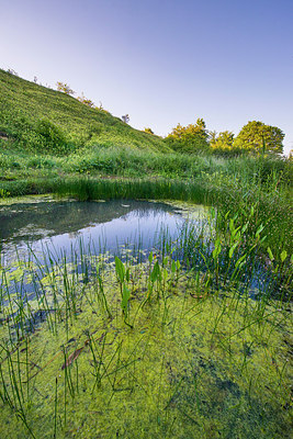 BUITEN BEELD Foto: 245819