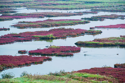 BUITEN BEELD Foto: 245858