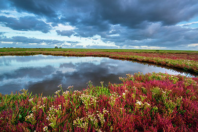 BUITEN BEELD Foto: 245867