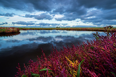 BUITEN BEELD Foto: 245880
