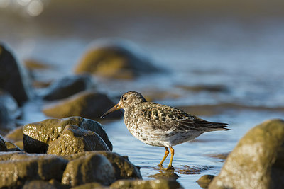 BUITEN BEELD Foto: 245963