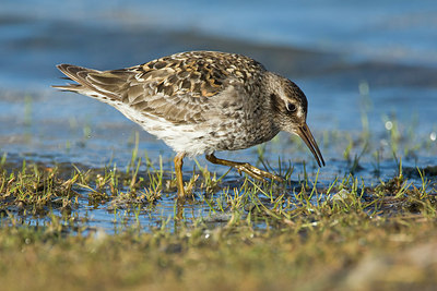 BUITEN BEELD Foto: 245964