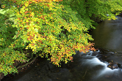 BUITEN BEELD Foto: 246208