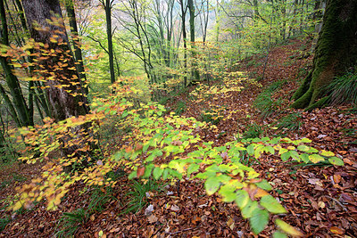 BUITEN BEELD Foto: 246209