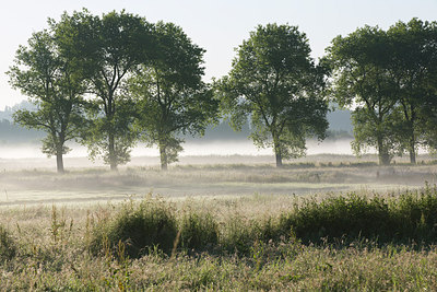 BUITEN BEELD Foto: 246230