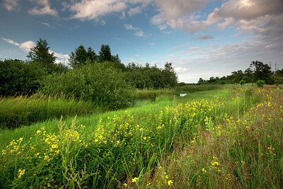 BUITEN BEELD Foto: 246231