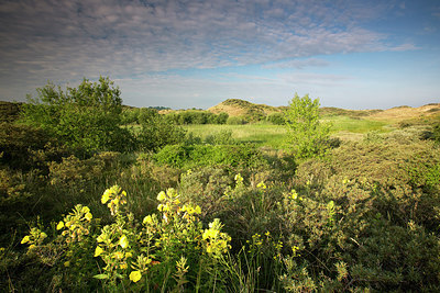 BUITEN BEELD Foto: 246243