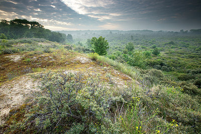 BUITEN BEELD Foto: 246244