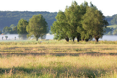 BUITEN BEELD Foto: 246248