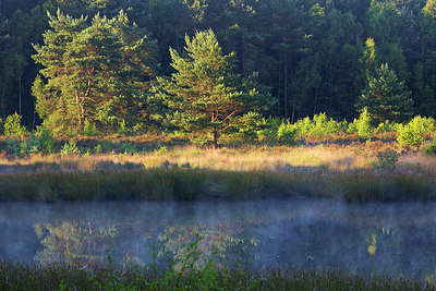 BUITEN BEELD Foto: 246289