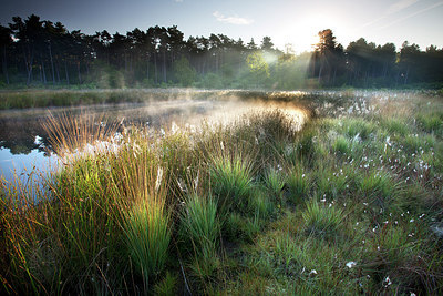 BUITEN BEELD Foto: 246290
