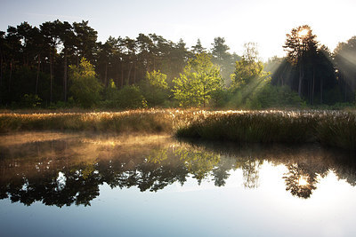 BUITEN BEELD Foto: 246291