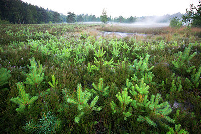 BUITEN BEELD Foto: 246296