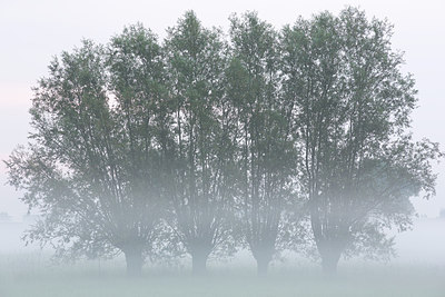 BUITEN BEELD Foto: 246300