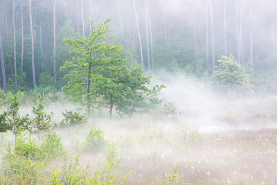 BUITEN BEELD Foto: 246332