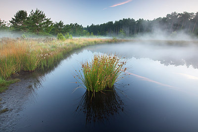 BUITEN BEELD Foto: 246333