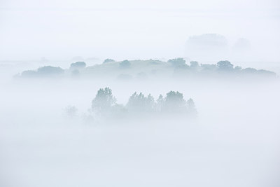 BUITEN BEELD Foto: 246348
