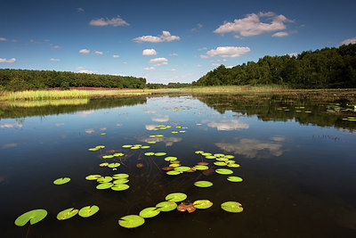 BUITEN BEELD Foto: 246448