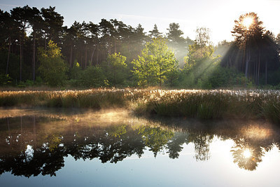 BUITEN BEELD Foto: 246452