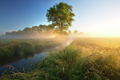 BUITEN BEELD Foto: 246511