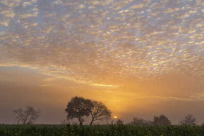 BUITEN BEELD Foto: 246555