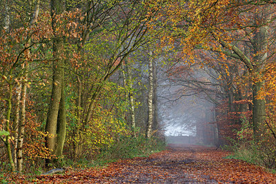 BUITEN BEELD Foto: 246557