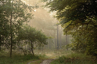 BUITEN BEELD Foto: 246612