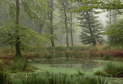 BUITEN BEELD Foto: 246628