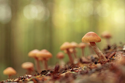BUITEN BEELD Foto: 246639