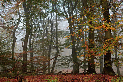 BUITEN BEELD Foto: 246642