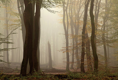BUITEN BEELD Foto: 246660