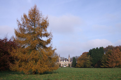 BUITEN BEELD Foto: 246976
