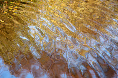 BUITEN BEELD Foto: 247018