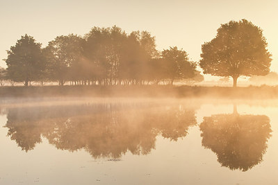 BUITEN BEELD Foto: 247028