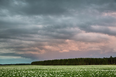 BUITEN BEELD Foto: 247038