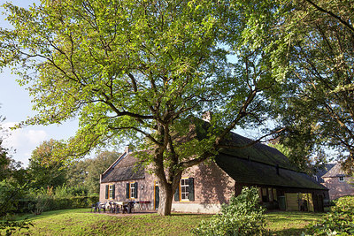 BUITEN BEELD Foto: 247045