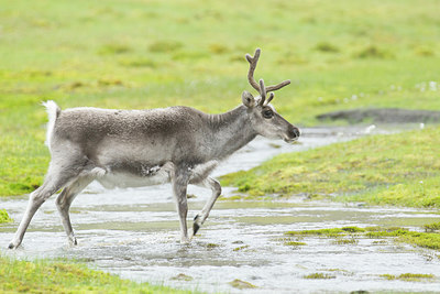 BUITEN BEELD Foto: 247481